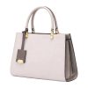 Handbag, Luxury Bag